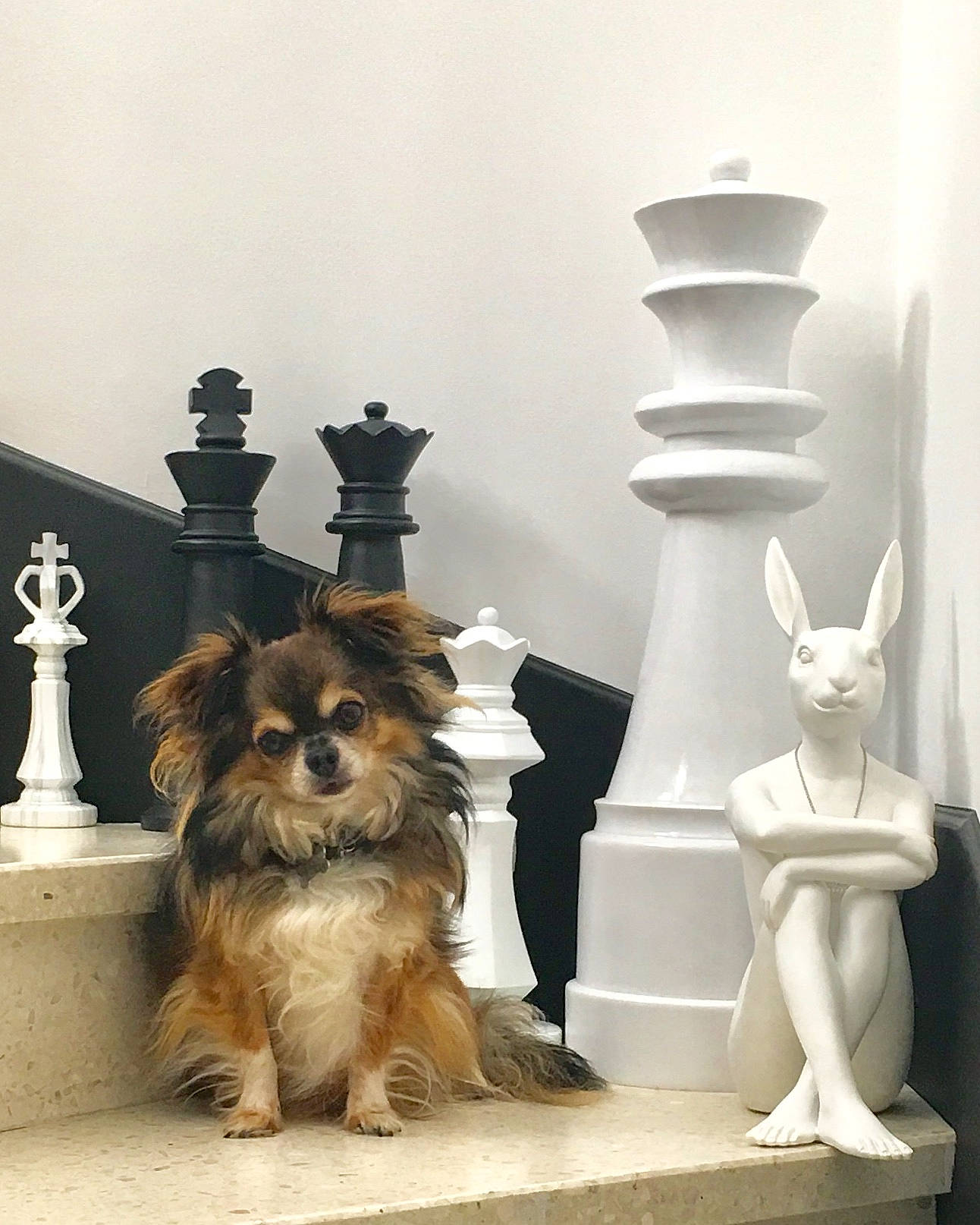 Lenny participe au concours pour gagner de l'argent avec cette photo : art, artifact, carnivore, companion_dog, cross, dog, dog_breed, fawn, flooring, fur, grey, sculpture, sporting_group, statue, symbol, terrier, toy, toy_dog, visual_arts, wood