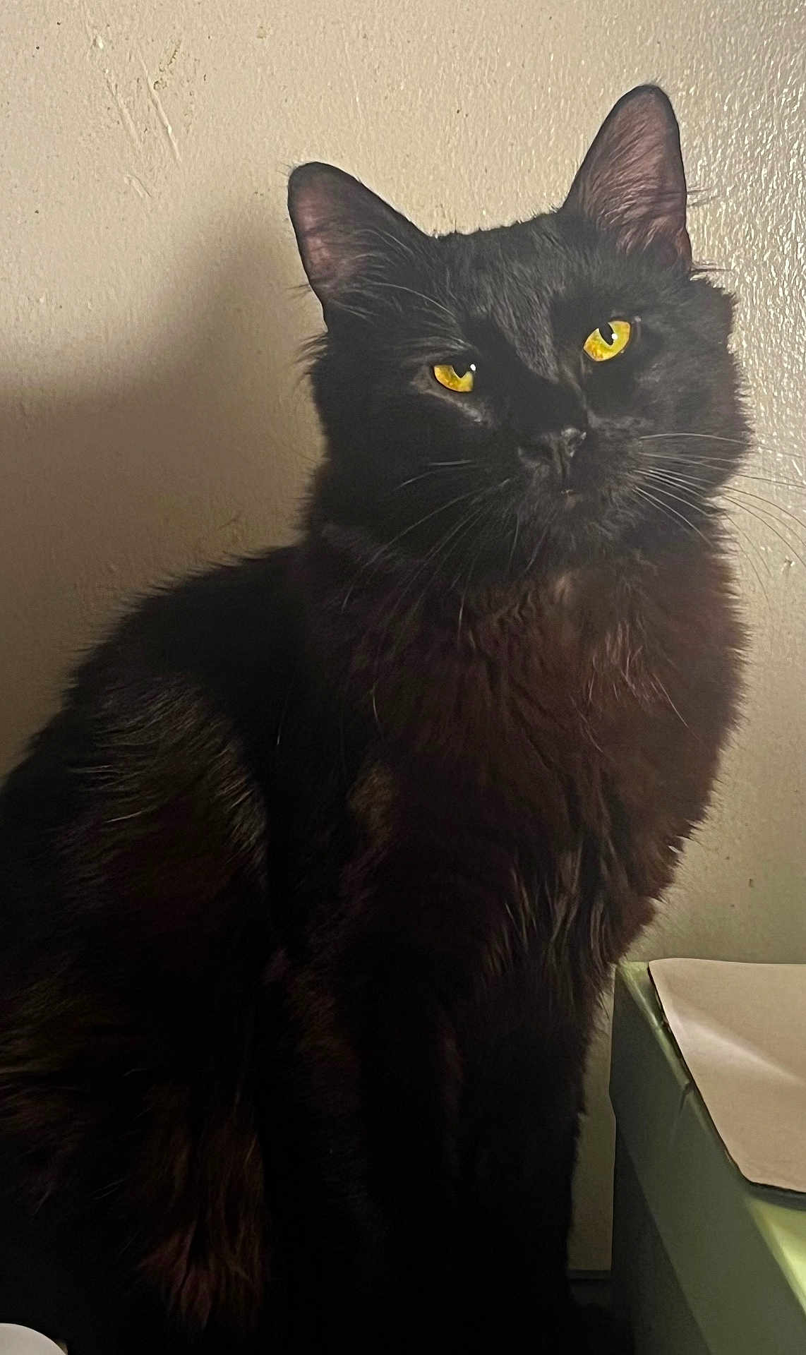 Kyro