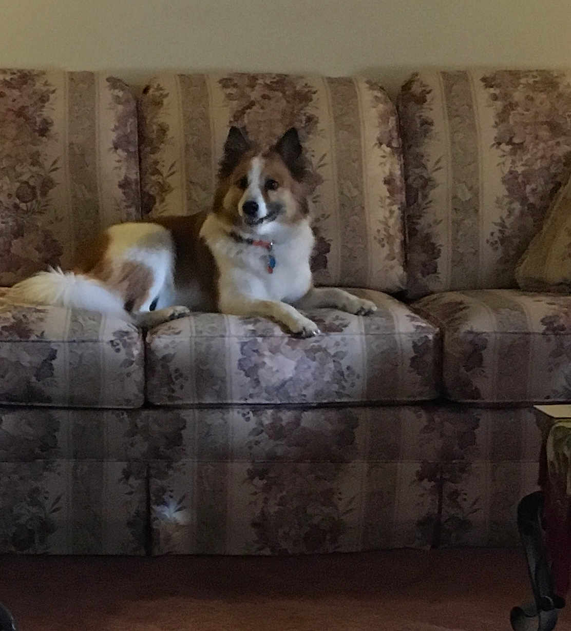 Bella