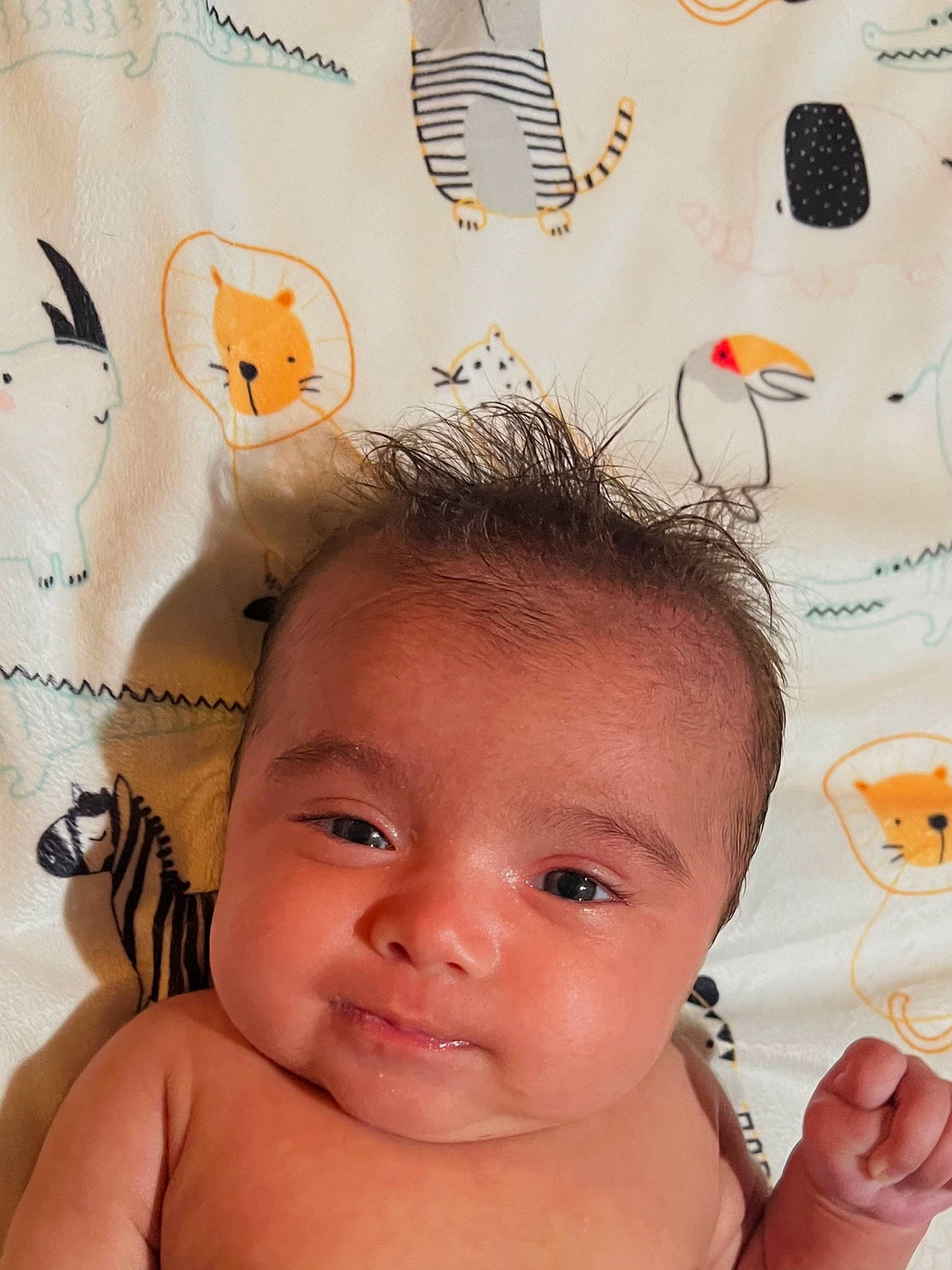 Camila joined the competition — help win amazing prizes! cheek, chin, ear, eye, eyebrow, eyelash, facial_expression, forehead, hair, hairstyle, head, lip, mouth, nose, organ, person, photograph, product, skin, smile