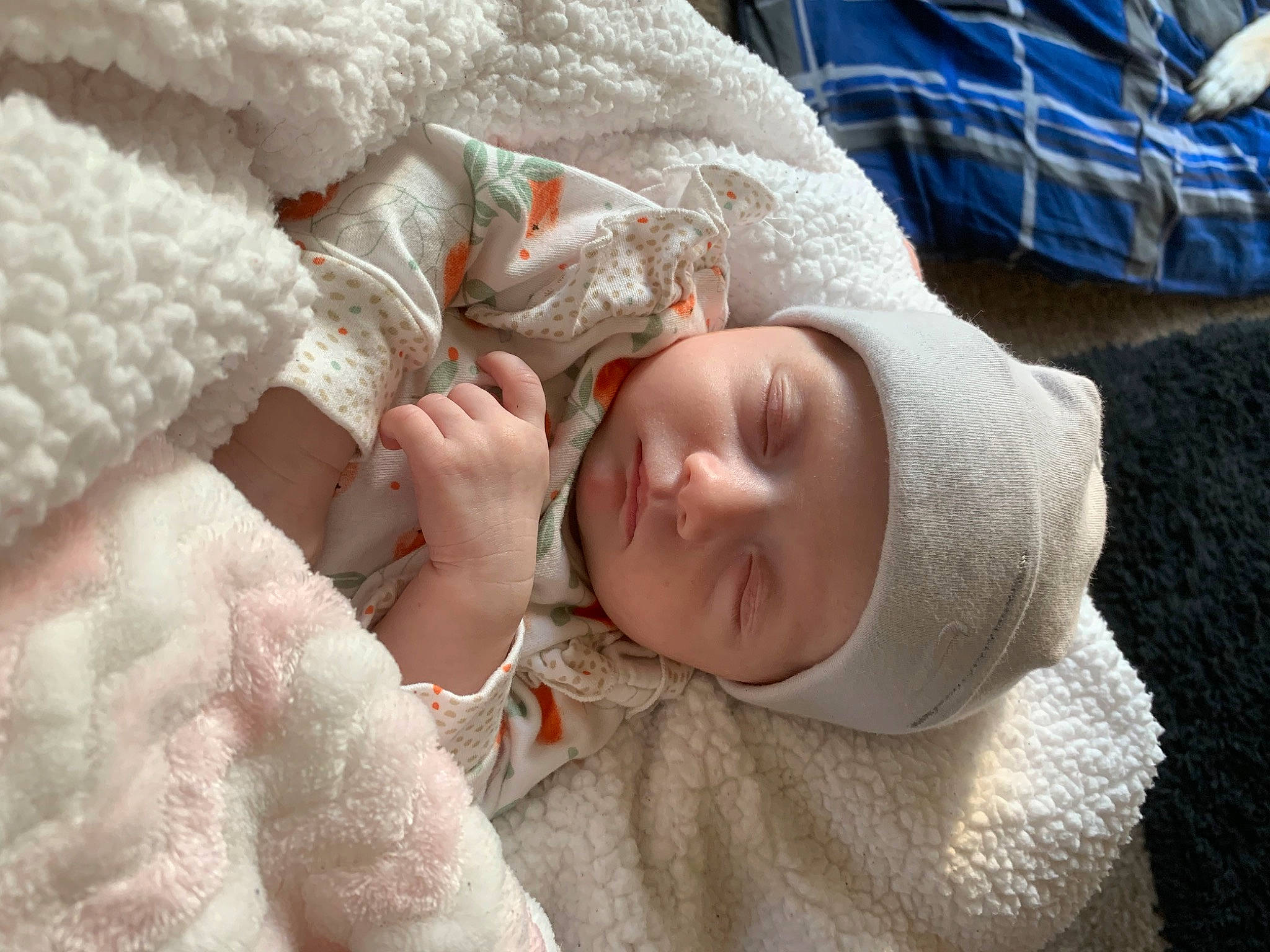 Bailey is registered to the contest to win money with this photo: baby, baby_sleeping, baby_toddler_clothing, bedding, bedtime, blanket, child, comfort, fur, headwear, knitting, linens, nap, nose, pattern, person, portrait_photography, skin, tartan, textile