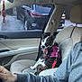 dog, brindle_coat, pink_harness, tongue_out, passenger_seat, car_interior, steering_wheel, person_arm, sweatshirt, seat, window, rearview_mirror, leash, parking_lot, vehicle_outside, happy, pet, portrait, travel, seatbelt