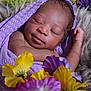 anemone, baby, blanket, clothing, daisy, face, flower, geranium, hat, head, newborn, person, petal, photography, plant, portrait, purple, quilt, sleeping, towel