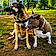 Kiara Et Sky
