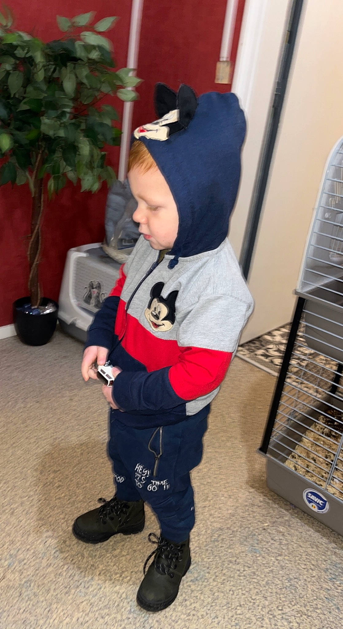 Eyden participe au concours pour gagner de l'argent avec cette photo : baby, baby_toddler_clothing, baseball_cap, boot, cap, carmine, child, flooring, flowerpot, fun, hat, hoodie, houseplant, person, plant, sleeve, sneakers, sportswear, t_shirt, toddler