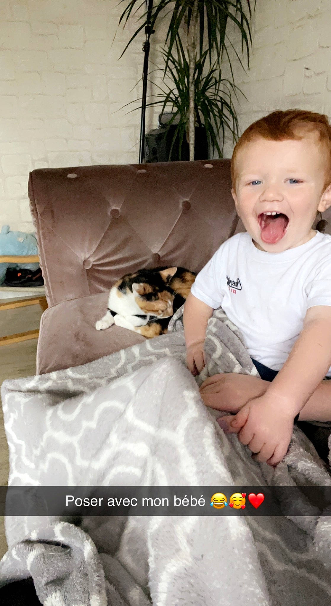 Eyden participe au concours pour gagner de l'argent avec cette photo : baby_toddler_clothing, carnivore, comfort, companion_dog, couch, fawn, felidae, flowerpot, fur, happy, houseplant, linens, person, pillow, plant, room, sitting, small_to_medium_sized_cats, smile, toddler