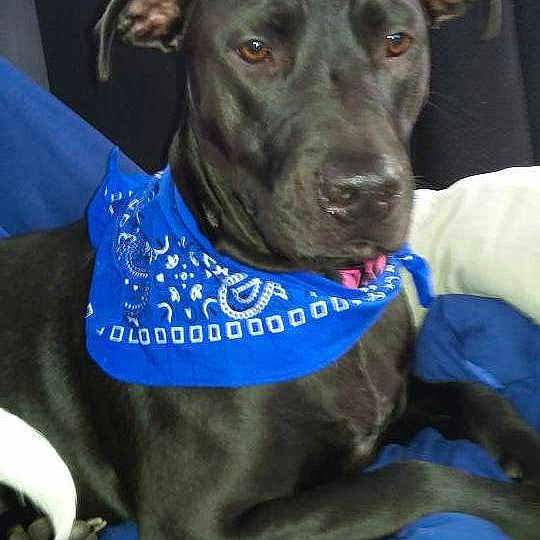 Coco