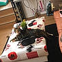 Tyna participe au concours pour gagner de l'argent avec cette photo : cat, tabby_cat, table, tablecloth, plant, purse, living_room, couch, floor, carpet, cat_toys, stairs, basket, wood_floor, furniture, indoor, pet, relaxed, black_purse, cozy