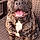 Baloo