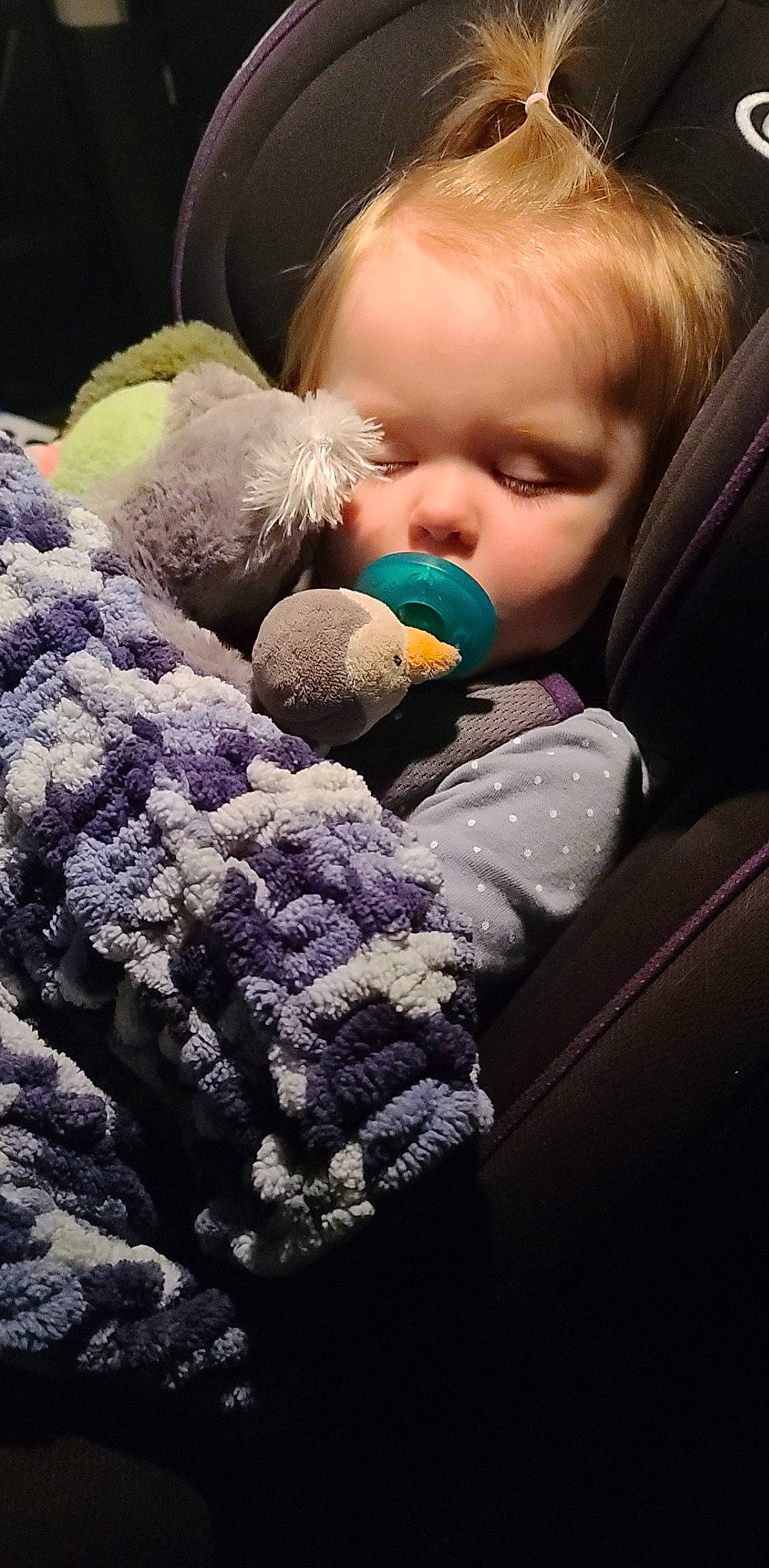 Aislynn joined the competition — help win amazing prizes! baby, baby_products, baby_toddler_clothing, car_seat, cheek, child, comfort, fun, fur, hug, pattern, person, plush, product, purple, sitting, stuffed_toy, toddler, toy, wool