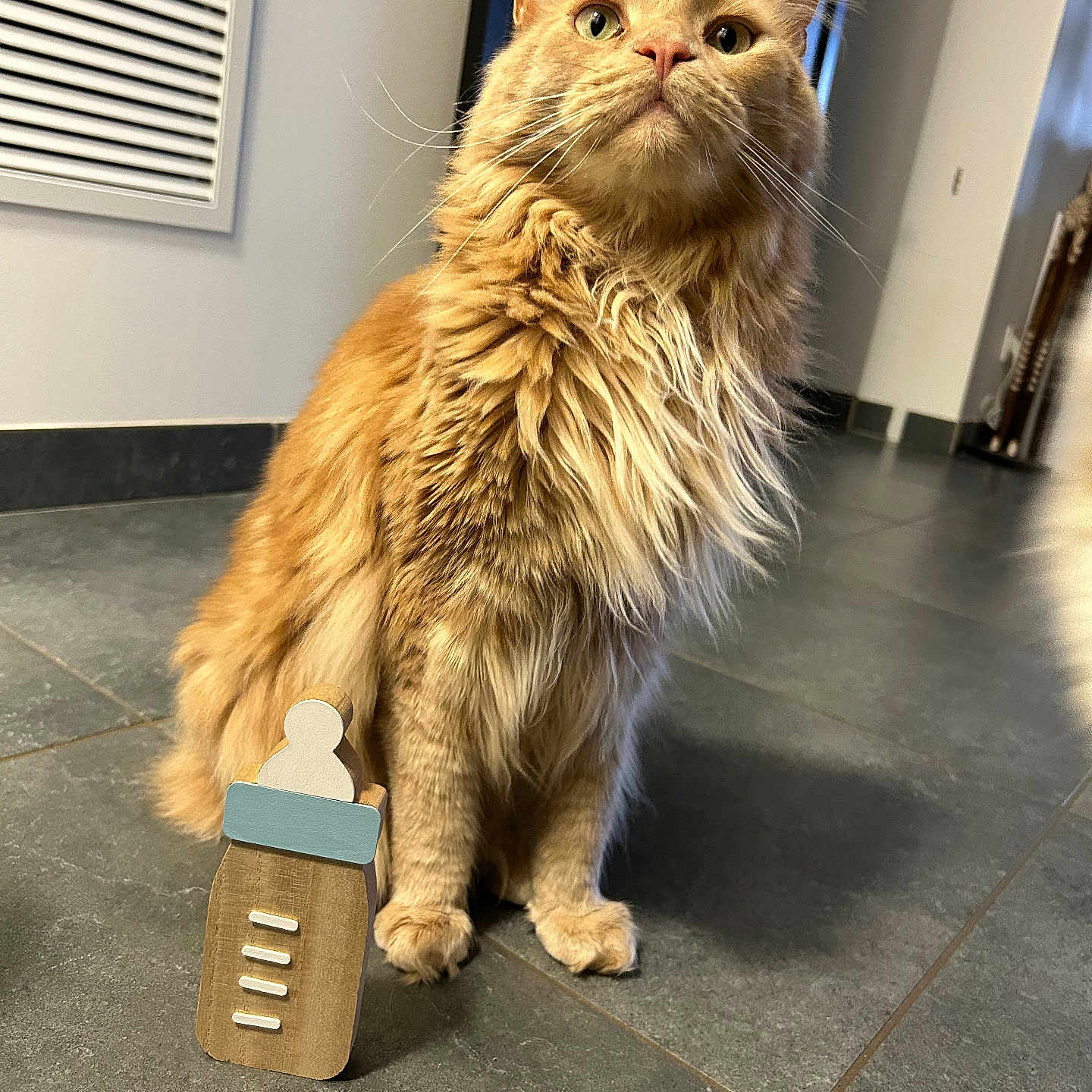 Simba
