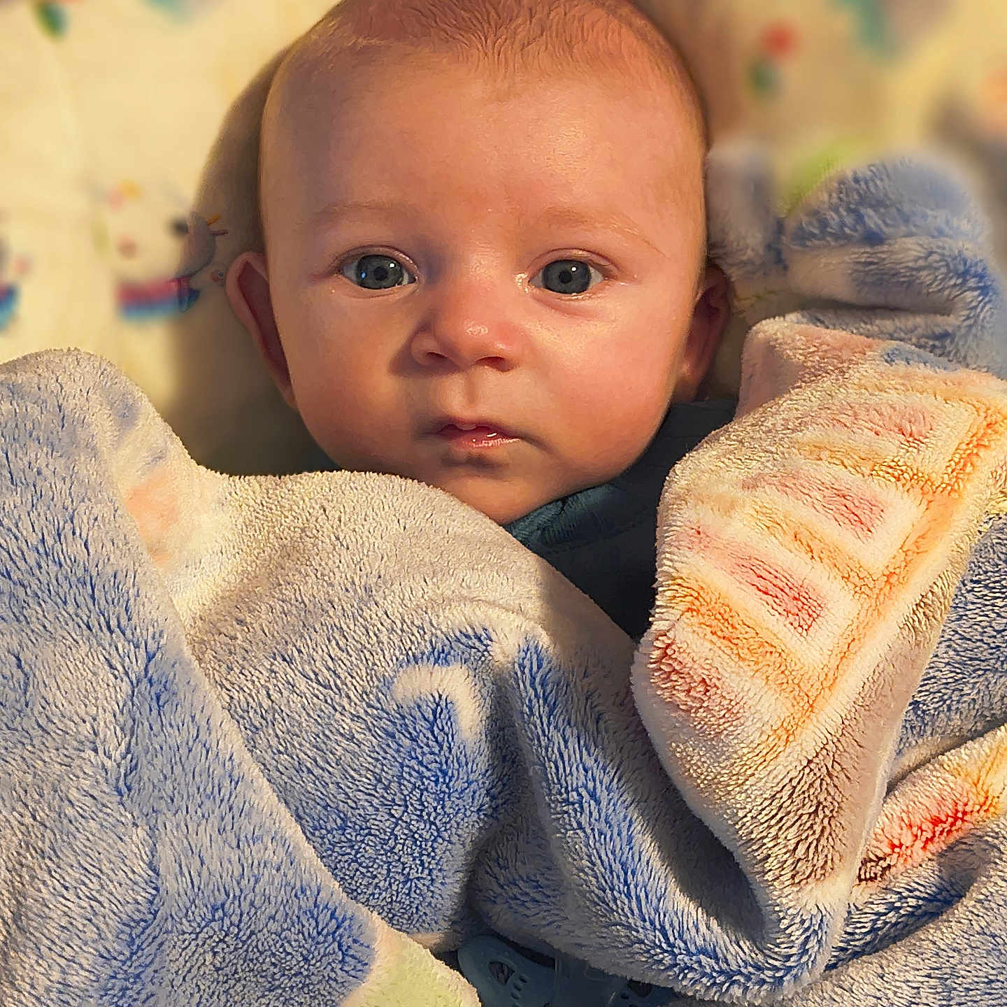 Landon is registered to the contest to win money with this photo: baby, blanket, face, infant, child, blue_eyes, soft_texture, cozy, warm_lighting, portrait, cute, young_child, indoor, close_up, comfort, resting, wrapped, skin, expression, head