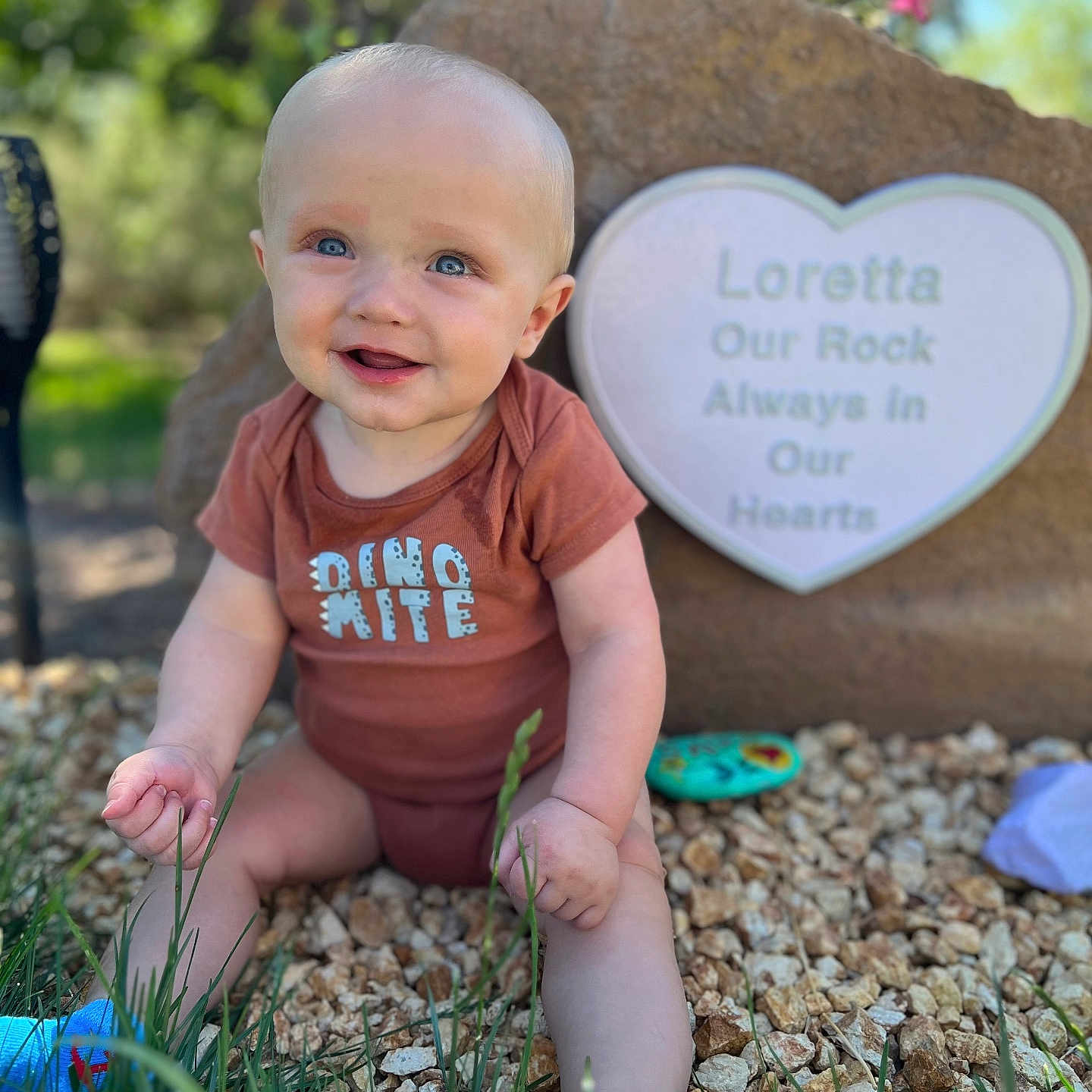 Braxton is registered to the contest to win money with this photo: baby, clothing, face, footwear, grass, head, nature, outdoors, park, pebble, person, photography, plant, portrait, rock, shoe, sitting, soil, summer, t_shirt