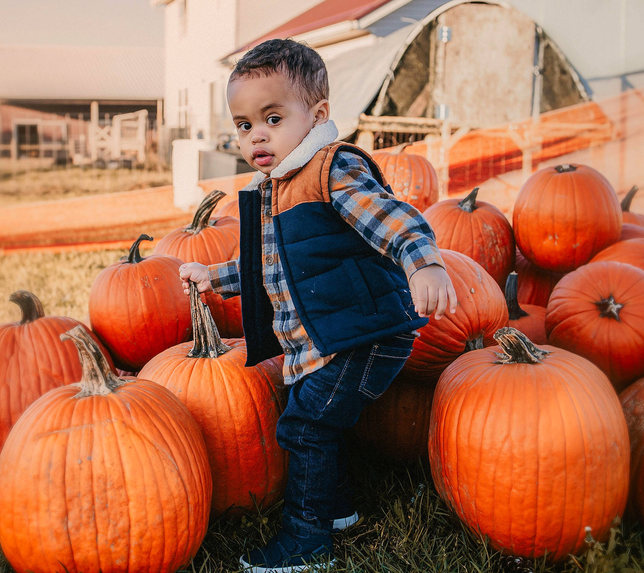 Jonah joined the competition — help win amazing prizes! _and_melon_family, _gourd, calabaza, child, cucumber, cucurbita, fruit, gourd, local_food, natural_foods, orange, person, produce, pumpkin, squash, staple_food, toddler, vegan_nutrition, vegetable, whole_food