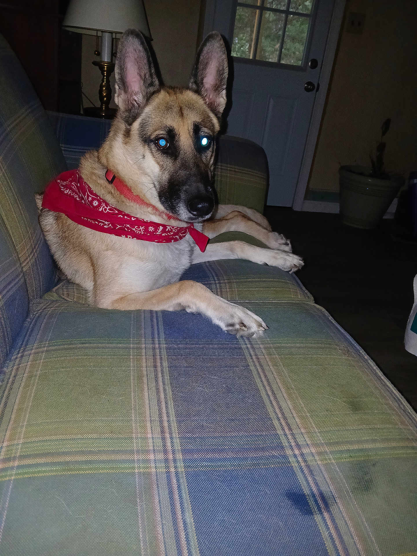 Mya