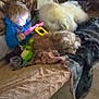 Chase is registered to the contest to win money with this photo: toddler, child, tablet, dog, couch, blanket, indoor, toy, furniture, pet, playing, cozy, carpet, relaxing, fur, home, living_room, curly_hair, blue_clothing, soft_toys