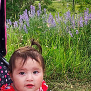 Lina joined the competition — help win amazing prizes! baby, child, clouds, cute, daylight, grass, greenery, mountain, nature, outdoor, person, portrait, purple_flowers, red_clothing, scenic, sitting, sky, stroller, summer, toddler