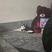 Mufasa Smoke joined the competition — help win amazing prizes! cat, bed, teddy_bear, book, gray, indoor, furniture, soft_lighting, relaxing, animal, pet, stuffed_toy, home, cozy, resting, black_and_white_cat, textured, comfortable, background, wall