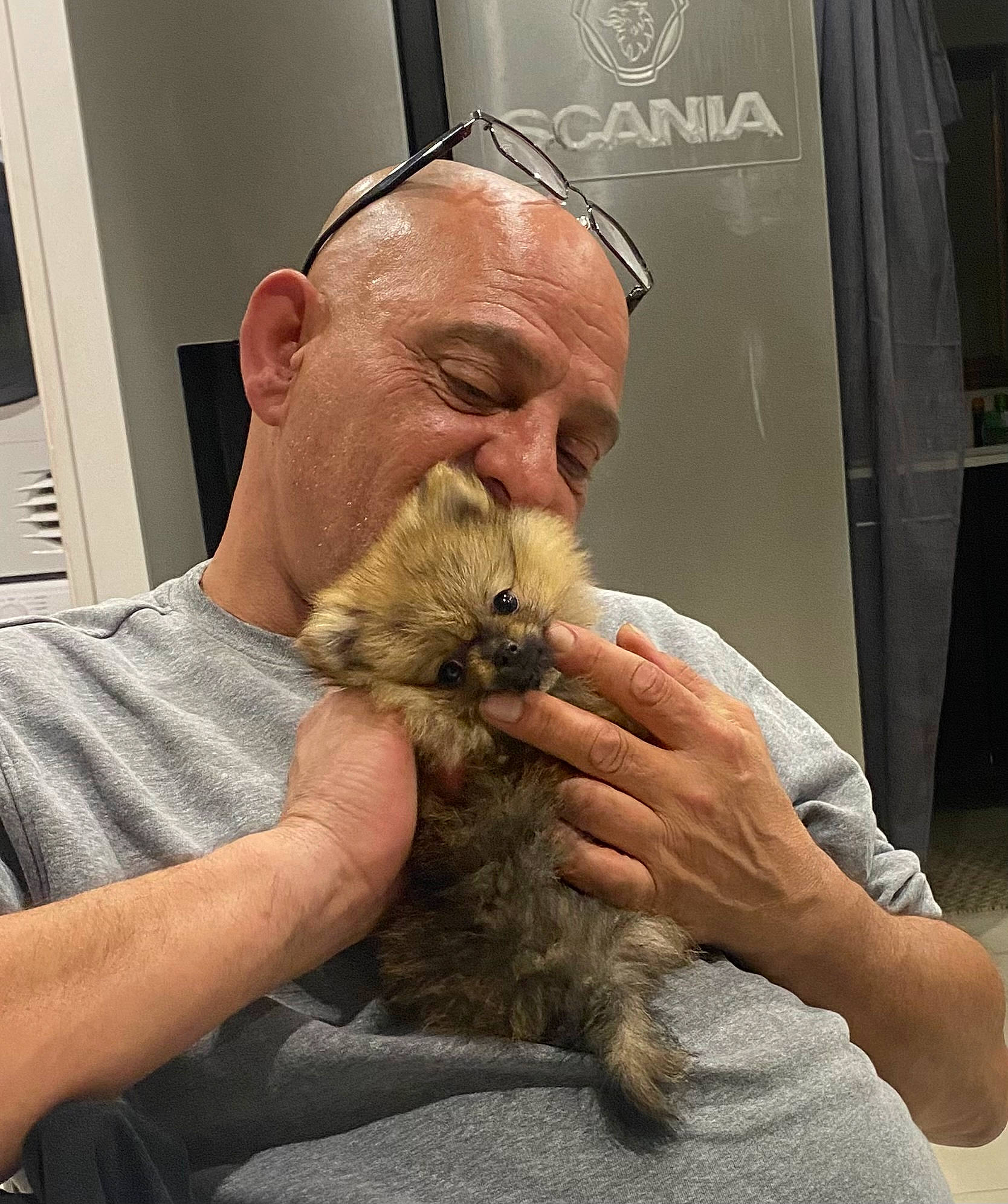 Mina participe au concours pour gagner de l'argent avec cette photo : beard, facial_hair, felidae, fur, moustache, small_to_medium_sized_cats, terrestrial_animal, wildlife_biologist, wrinkle