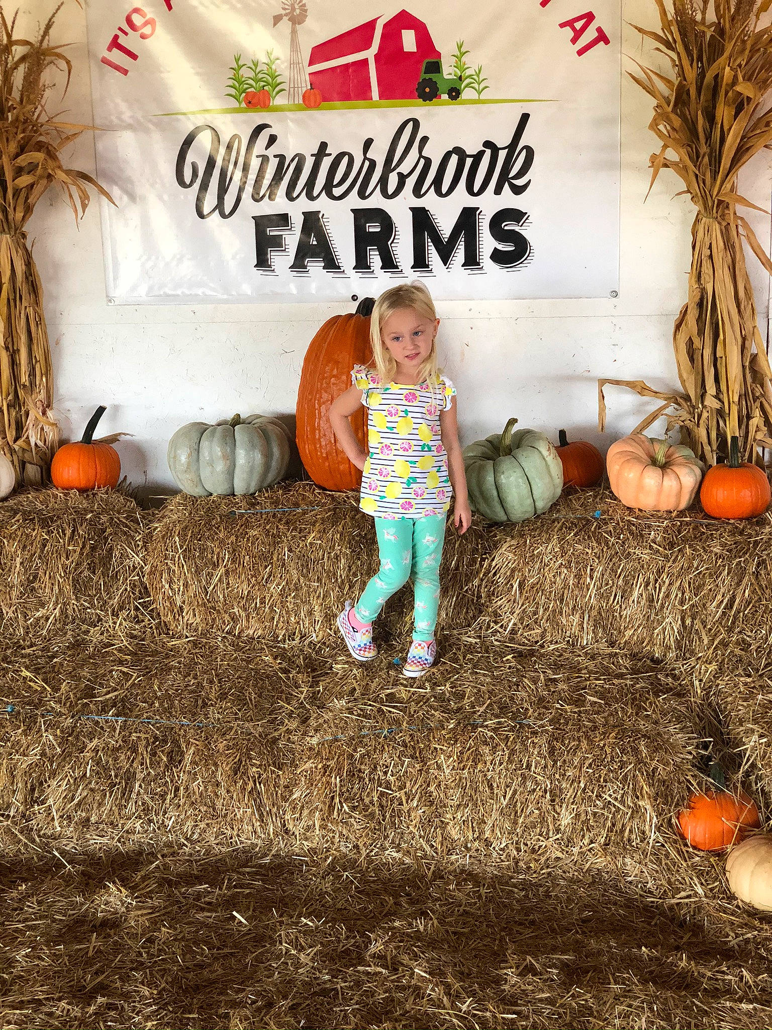 Tegan joined the competition — help win amazing prizes! child, orange, person, plant, pumpkin, tree, trick_or_treat, vegetable