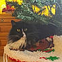 animal, black_and_white, carpet, cat, christmas, christmas_tree, cozy, decorations, festive, fluffy, furniture, holiday, holiday_rug, home, indoor, living_room, pet, relaxed, wooden_drawer, yellow_eyes