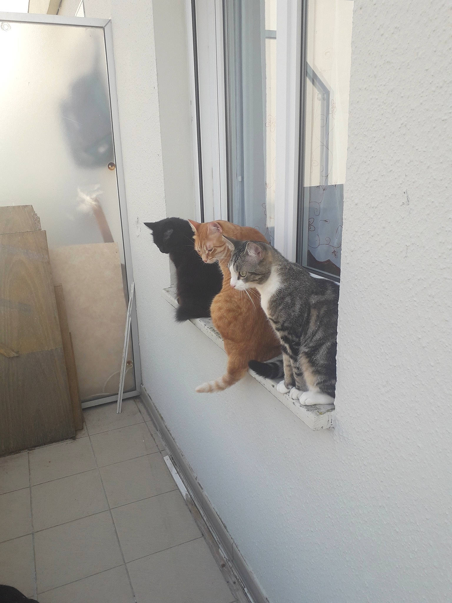 Mimine Roucain Bandy