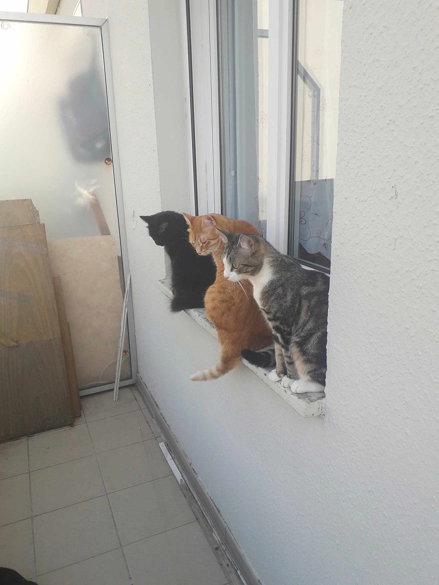 Mimine Roucain Bandy