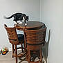 Sylvester is registered to the contest to win money with this photo: cat, black_and_white, table, chair, wooden_furniture, indoor, floor, wall, pet_food, bowl, motion_blur, curious, feline, corner, home, domestic, animal, pet, playful, living_room