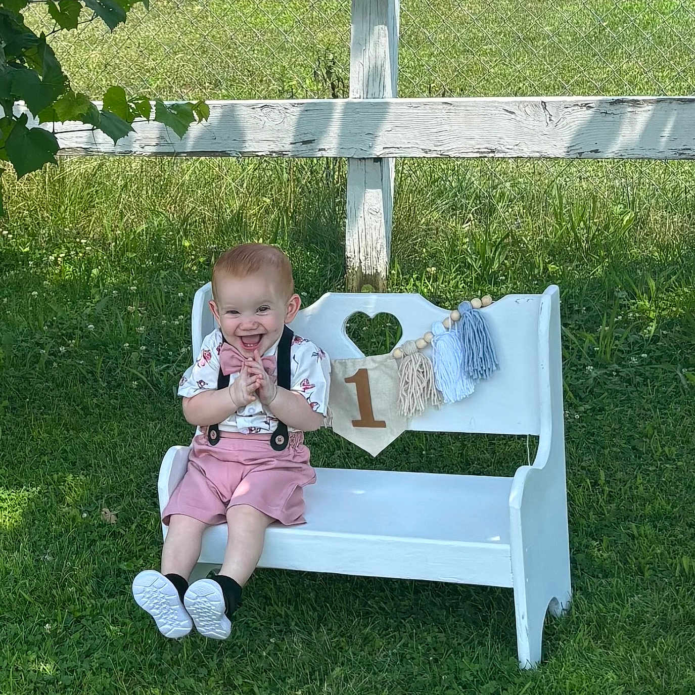 Aemond is registered to the contest to win money with this photo: toddler, child, smiling, bench, outdoor, grass, fence, birthday, celebration, pink_shorts, bow_tie, suspenders, happy, sunlight, greenery, small_bench, decorations, cute, portrait, person