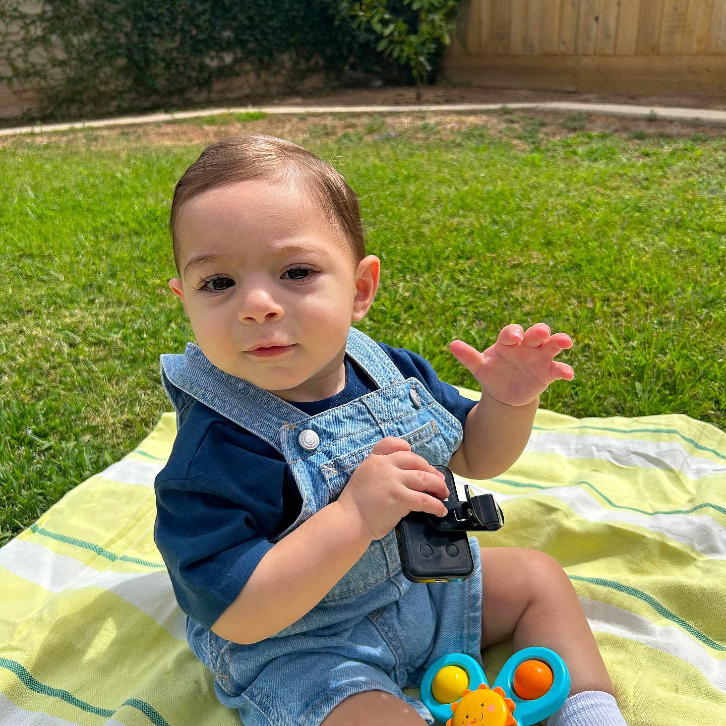 Zain