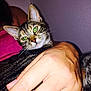 Minouche participe au concours pour gagner de l'argent avec cette photo :