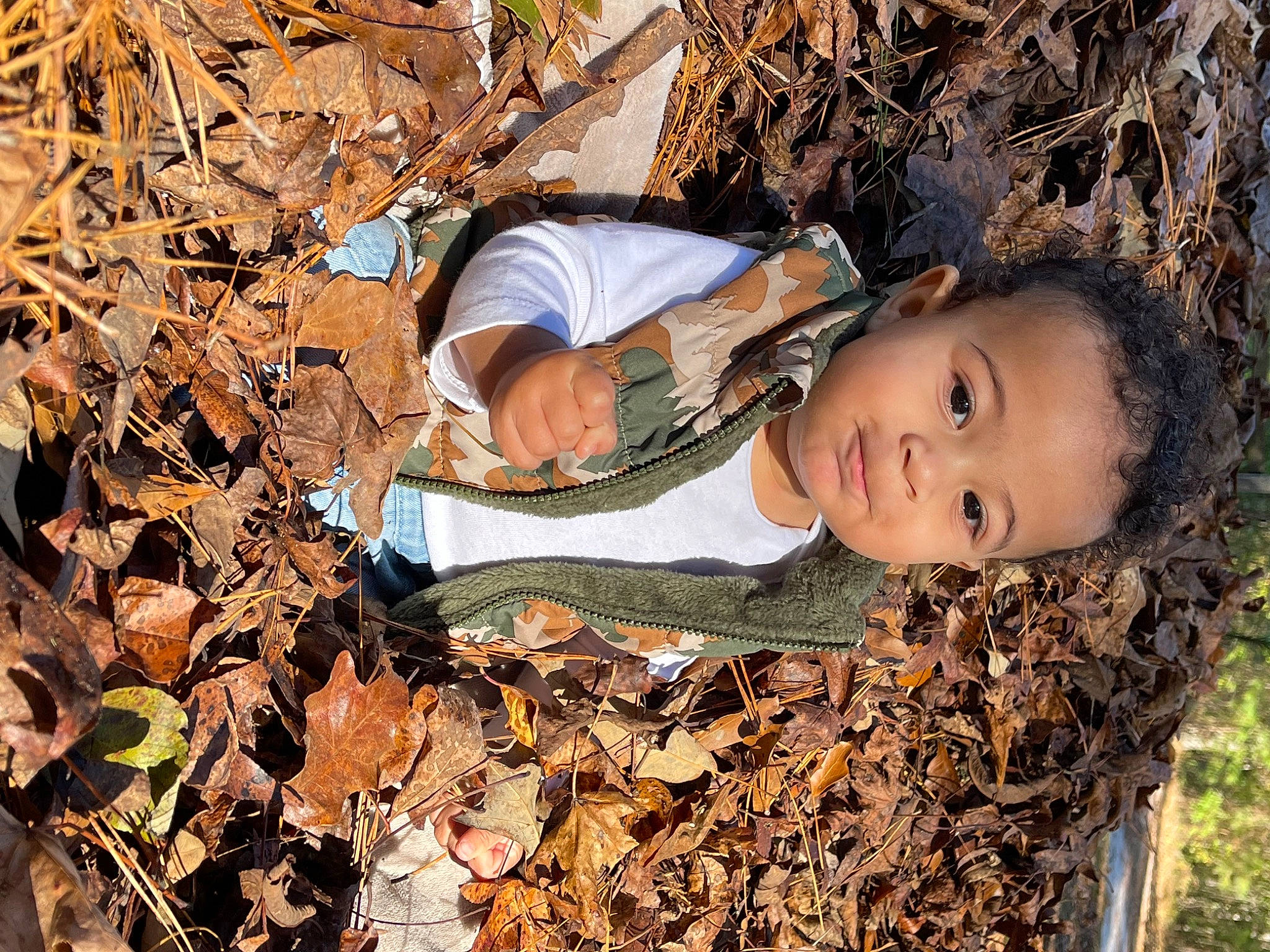 Landyn is registered to the contest to win money with this photo: adaptation, autumn, botany, branch, brown, deciduous, grass, happy, hat, nature, people_in_nature, person, soil, spring, sunlight, tree, trunk, twig, wilderness, wood