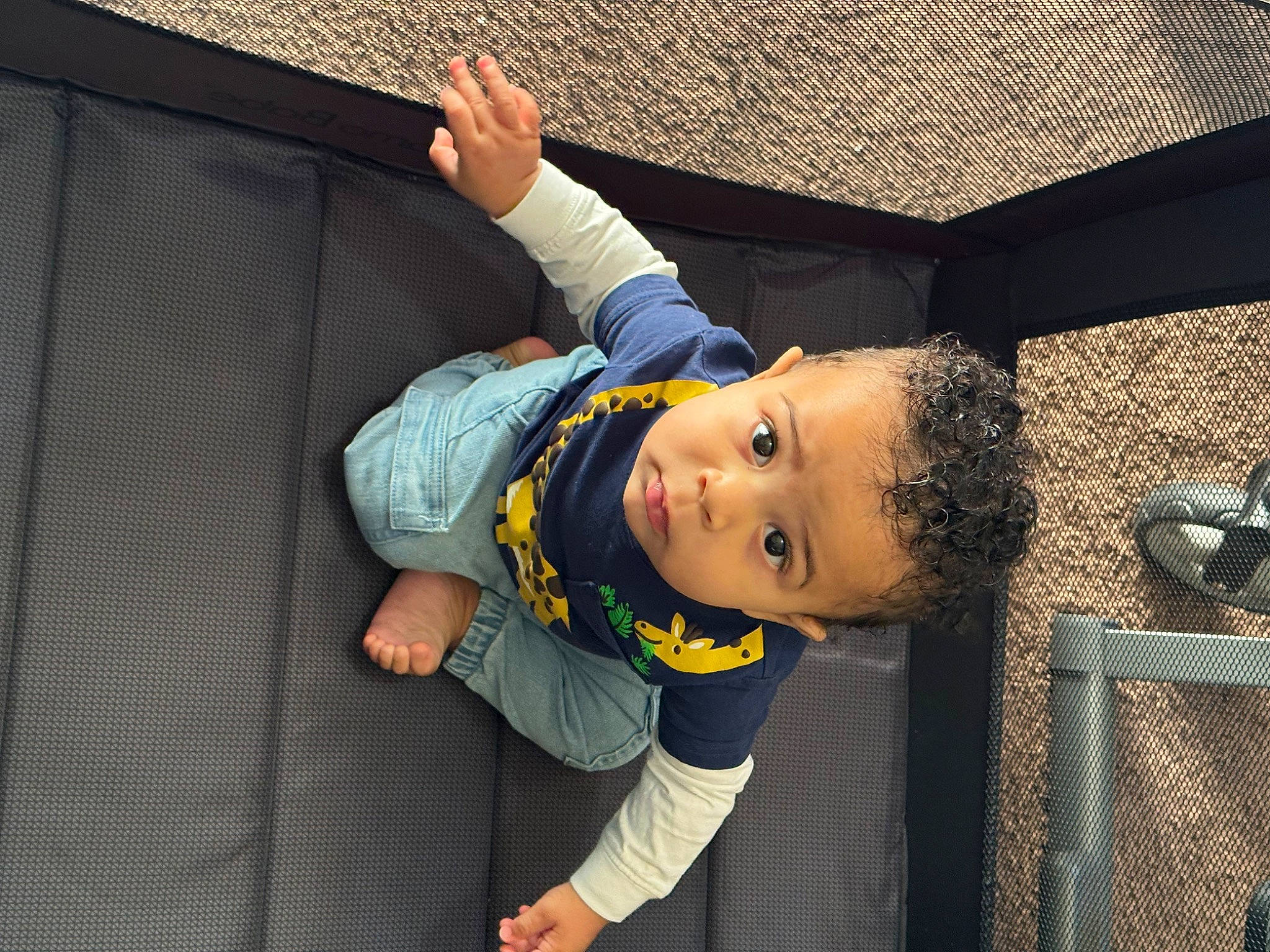 Landyn joined the competition — help win amazing prizes! baby, baby_toddler_clothing, child, flash_photography, fun, happy, leisure, person, sitting, smile, t_shirt, toddler, transport, vacation