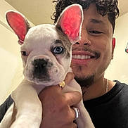 Armani is registered to the contest to win money with this photo: man, smile, curly_hair, nose_ring, puppy, french_bulldog, dog, blue_eye, pink_ears, hand, ring, indoor, wall, person, face, holding, cute, pet, closeup, happy