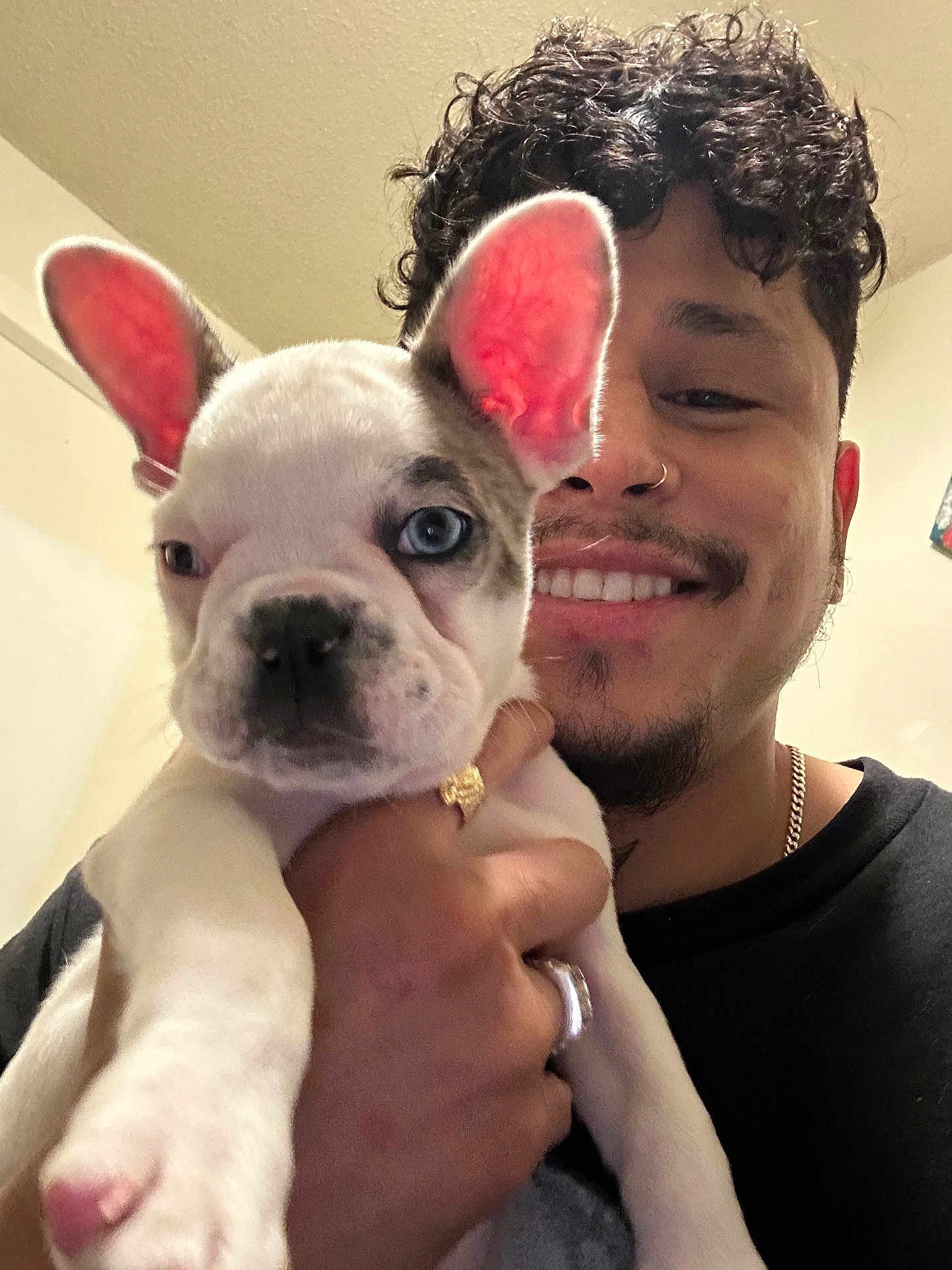 Armani is registered to the contest to win money with this photo: man, smile, curly_hair, nose_ring, puppy, french_bulldog, dog, blue_eye, pink_ears, hand, ring, indoor, wall, person, face, holding, cute, pet, closeup, happy
