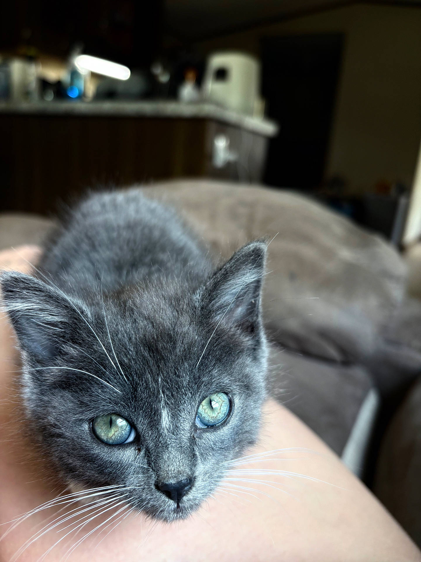 Bubby