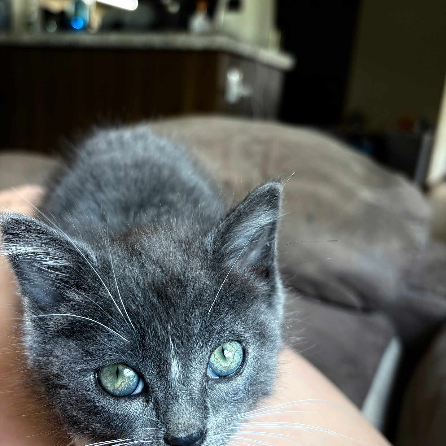 Bubby