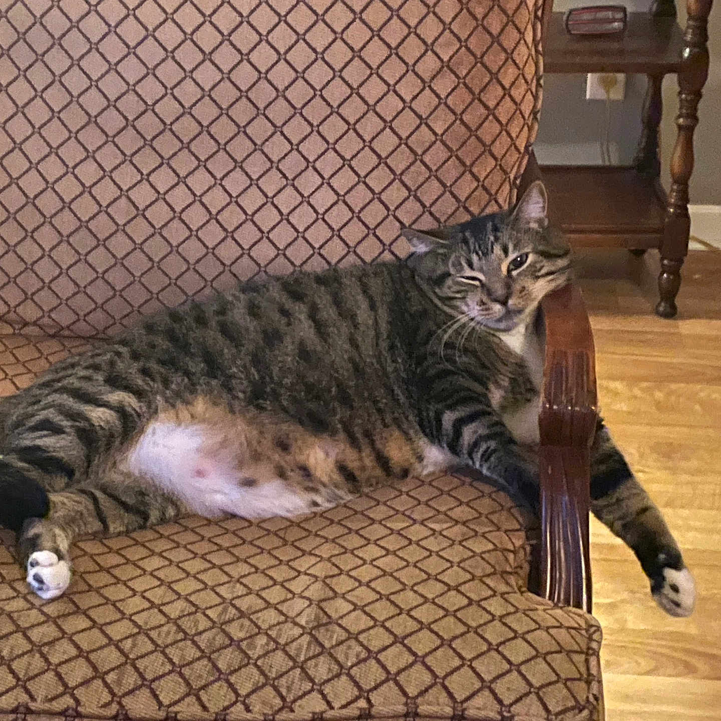 Chonk
