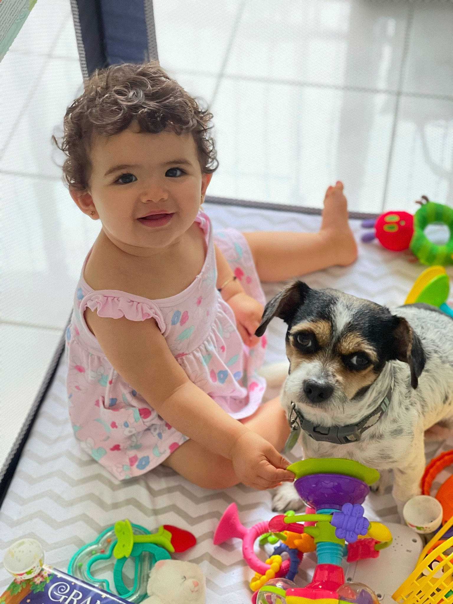 Gaby joined the competition — help win amazing prizes! baby, baby_toddler_clothing, child, companion_dog, dog, dog_breed, event, fun, green, happy, leisure, party, people, person, skin, smile, snapshot, tableware, toddler, toy