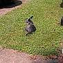 Bubbles is registered to the contest to win money with this photo: