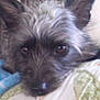 Bubbles is registered to the contest to win money with this photo: