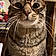 Dewey