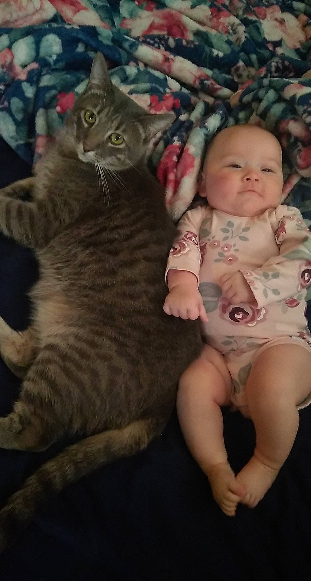 Kelsea is registered to the contest to win money with this photo: baby, baby_toddler_clothing, carnivore, cat, comfort, domestic_short_haired_cat, eye, felidae, fur, happy, iris, lap, mammal, person, sitting, skin, small_to_medium_sized_cats, tail, toddler, vertebrate
