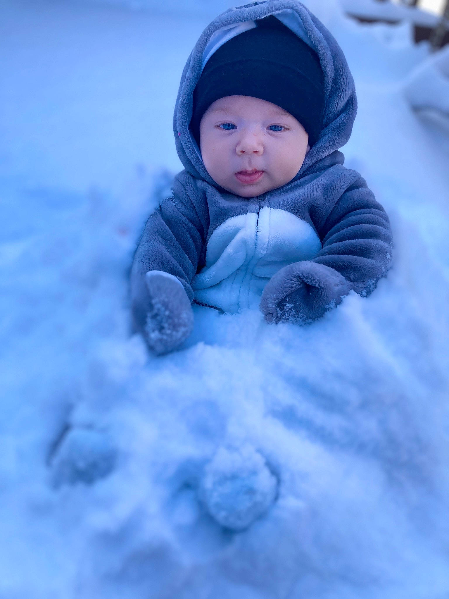 Princeton joined the competition — help win amazing prizes! baby, blue, cap, clothing, cloud, electric_blue, eye, face, freezing, happy, head, headwear, ice_cap, outerwear, people_in_nature, person, recreation, sky, snow, toddler
