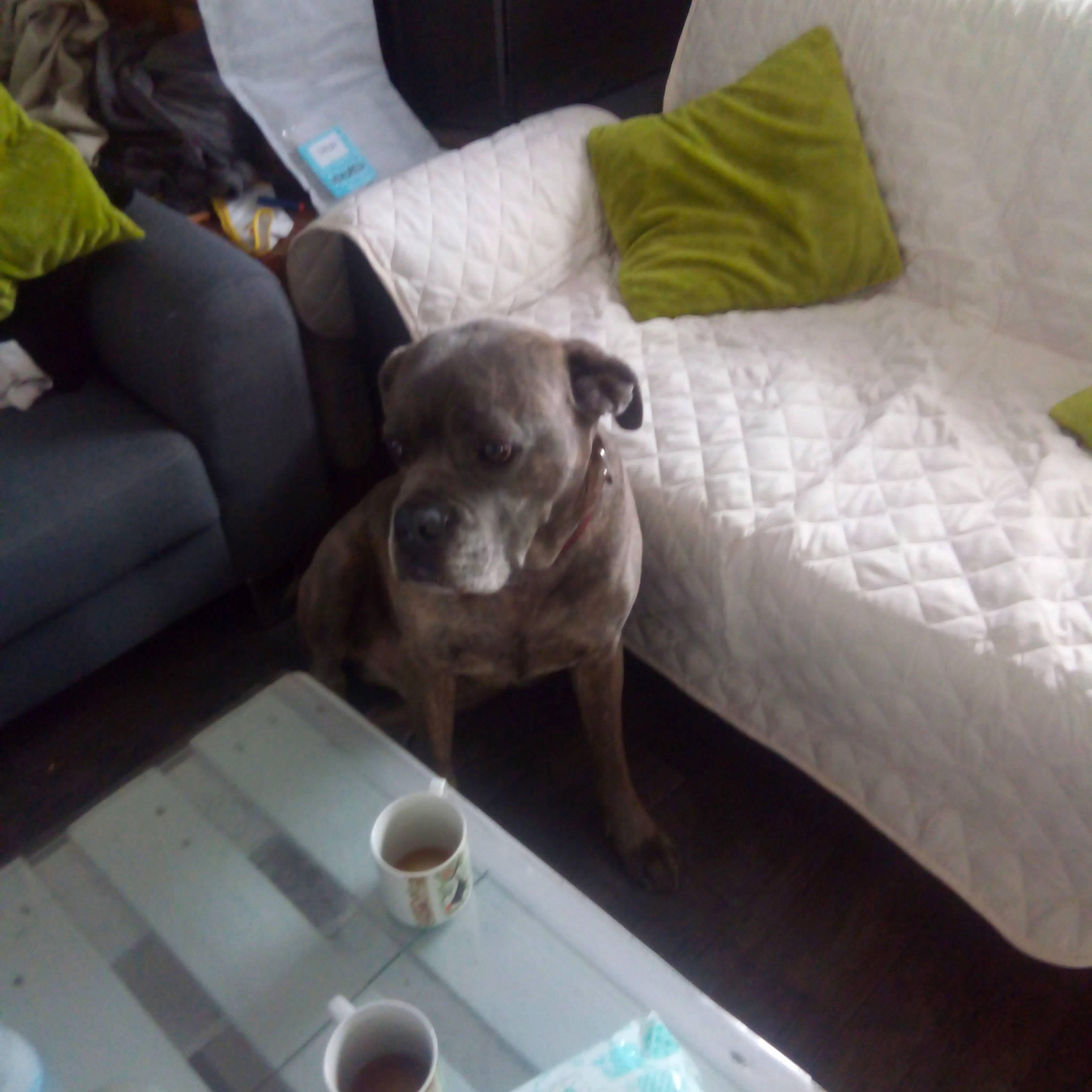 Juke a rejoint le concours — aidez-le/la à gagner de superbes lots !