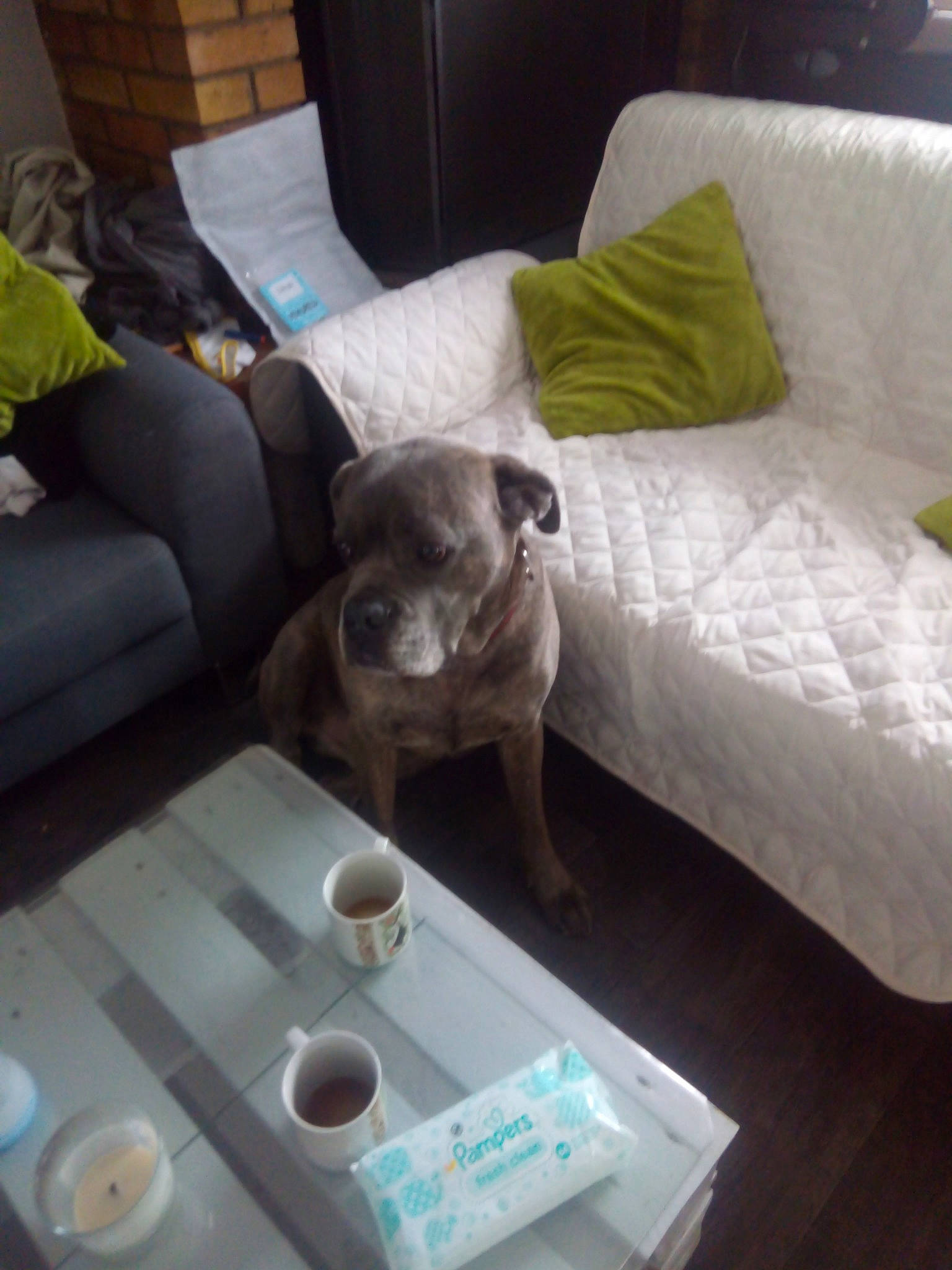 Juke participe au concours pour gagner de l'argent avec cette photo :