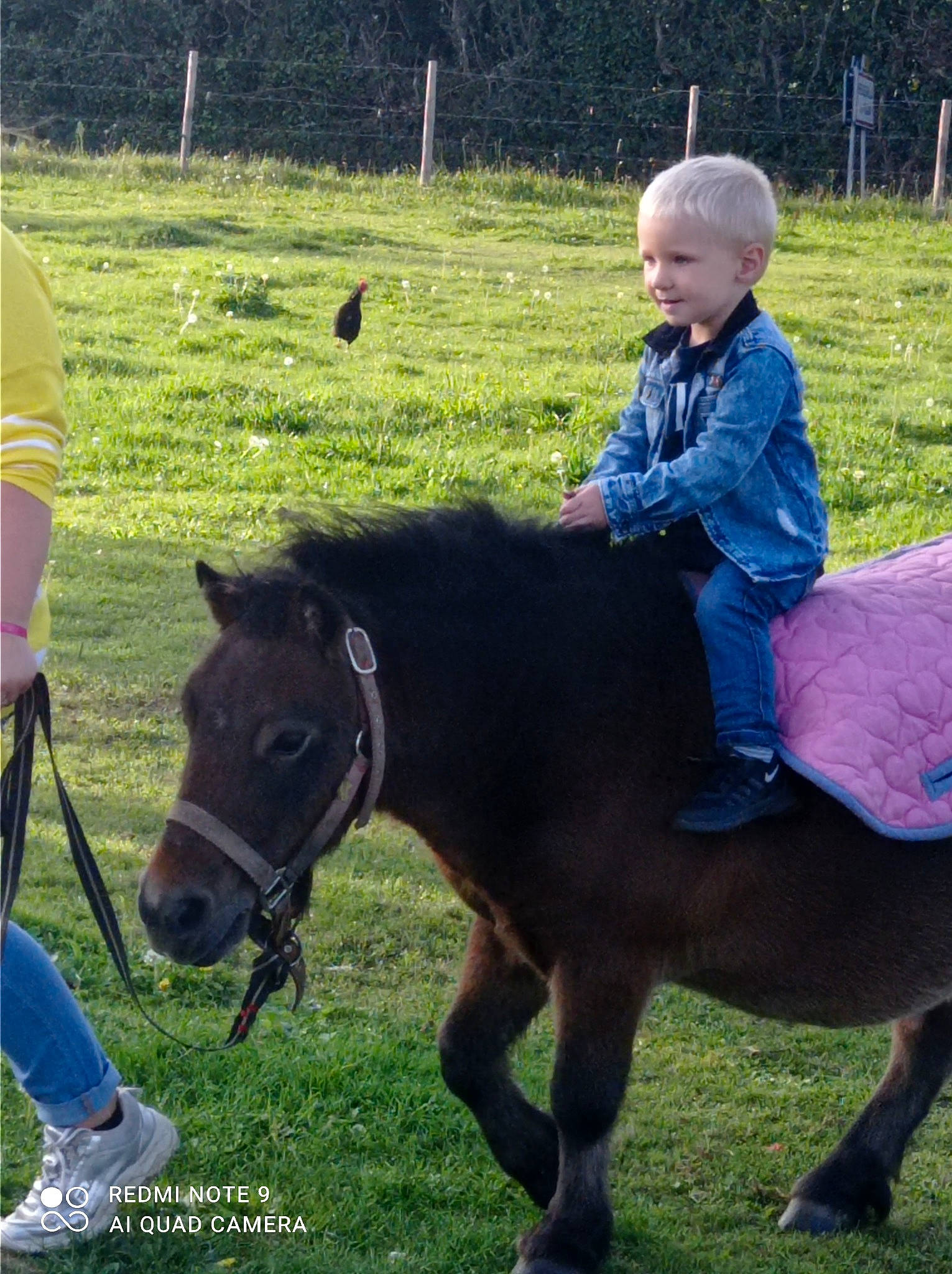 Kenzo a rejoint le concours — aidez-le/la à gagner de superbes lots ! bridle, child, farm, grass, horse, horse_supplies, horse_tack, landscape, livestock, mammal, mare, pack_animal, pasture, person, plant, pony, recreation, riding_instructor, shetland_pony, vertebrate