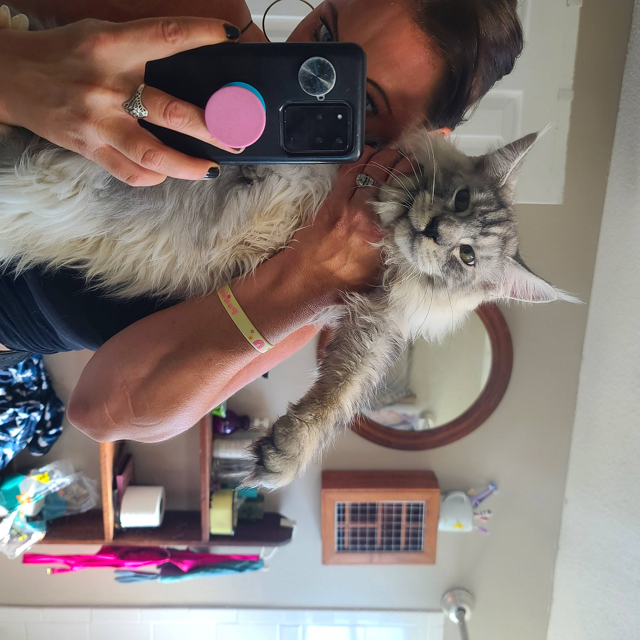 Alex is registered to the contest to win money with this photo: camera, cameras_optics, carnivore, cat, domestic_short_haired_cat, fawn, felidae, fur, gesture, mammal, nail, paw, shelf, small_to_medium_sized_cats, tail, thumb, vertebrate, whiskers, window, wrist