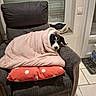 Bounty participe au concours pour gagner de l'argent avec cette photo : dog, blanket, armchair, pillow, indoor, cozy, pet, resting, tiled_floor, window, polka_dot, gray_furniture, cute, wrapped, relaxed, home, comfort, black_and_white_dog, soft_texture, sleepy