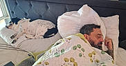Bounty a rejoint le concours — aidez-le/la à gagner de superbes lots ! bed, blanket, dog, man, pillow, sleeping, indoor, rest, quilt, headboard, white, black, spotted_dog, tattoo, sleep, cozy, comfort, relaxation, home, companion
